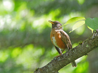 DSCN3804.jpg