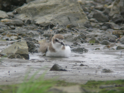 DSCN3808.jpg