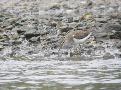 DSCN3858.jpg