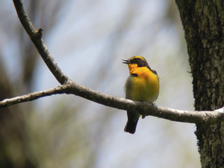 DSCN3912.jpg