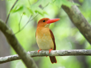 DSCN3969.jpg