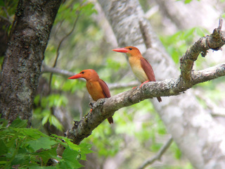 DSCN4190.jpg