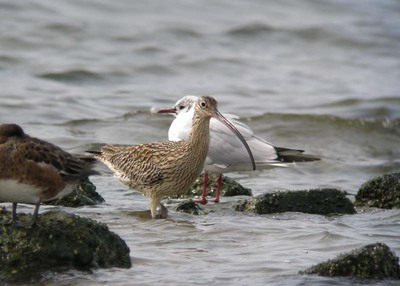 DSCN4354.jpg