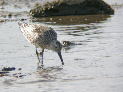 DSCN4689.jpg