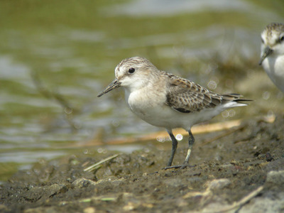 DSCN4910.jpg