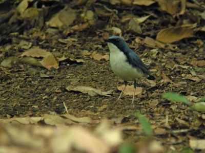 DSCN4952.jpg