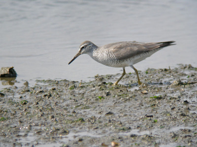 DSCN5315.jpg