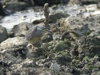 DSCN5423.jpg