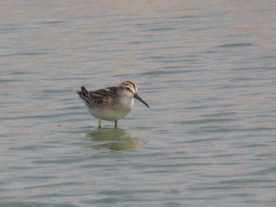 DSCN5488.jpg