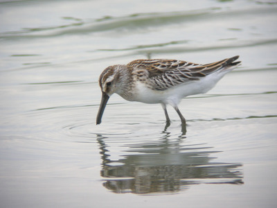 DSCN5709.jpg