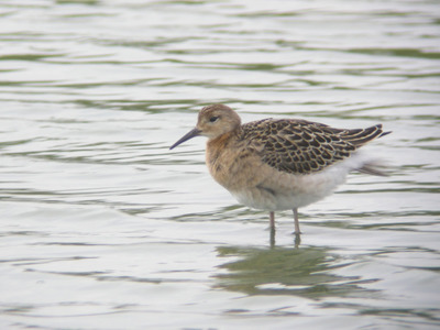 DSCN5905.jpg