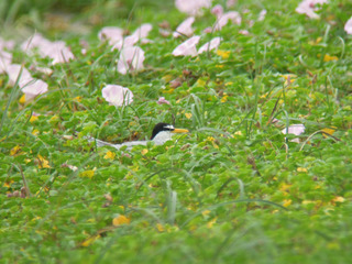 DSCN5916.jpg
