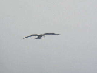 DSCN5932.jpg