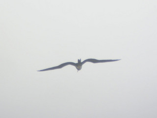 DSCN5934.jpg