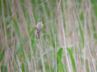 DSCN6189.jpg