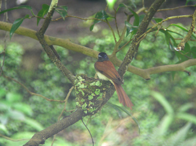 DSCN6605.jpg