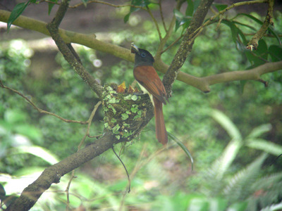 DSCN6686.jpg