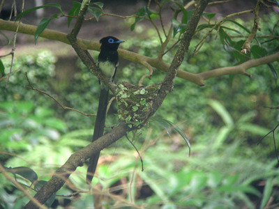 DSCN6888.jpg
