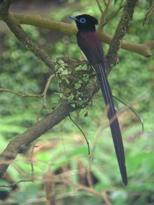 DSCN7065s.jpg