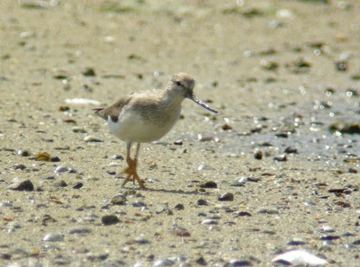 DSCN7390.jpg
