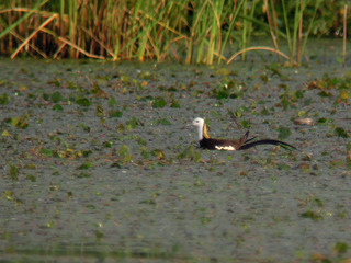 DSCN7544.jpg