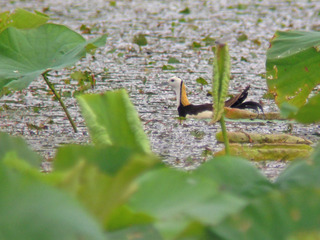 DSCN7565.jpg