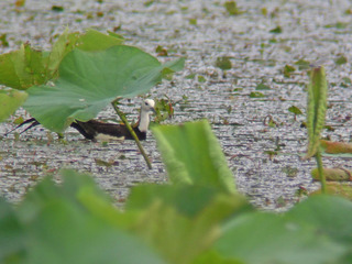 DSCN7569.jpg