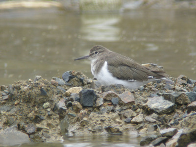 DSCN7621.jpg