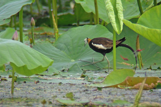 DSCN7675.jpg