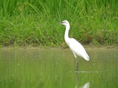 DSCN7955.jpg