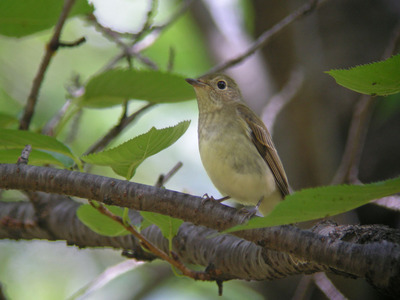 DSCN8049.jpg