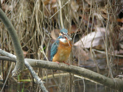 DSCN8105.jpg