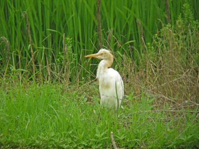 DSCN8121.jpg