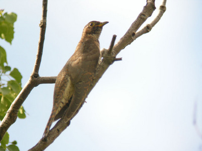 DSCN8219.jpg