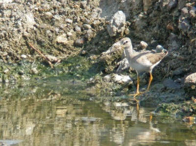 DSCN8340.jpg