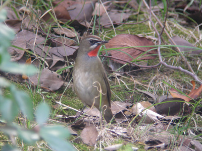 DSCN8348.jpg
