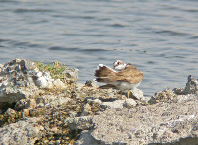 DSCN8371.jpg