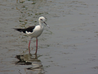 DSCN8408.jpg