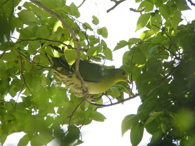 DSCN8511.jpg