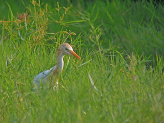 DSCN8613.jpg