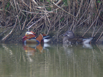DSCN8620.jpg