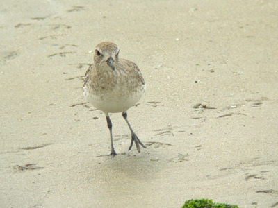 DSCN8742.jpg