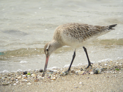 DSCN8826.jpg
