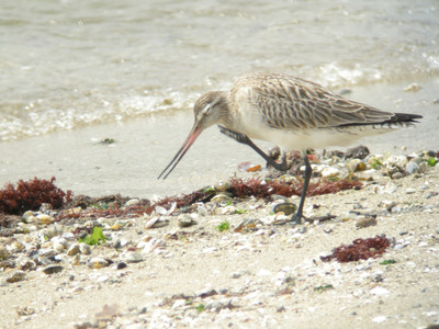 DSCN8896.jpg