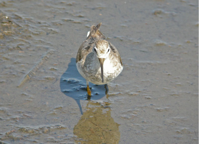 DSCN9241.jpg