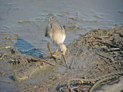 DSCN9315.jpg