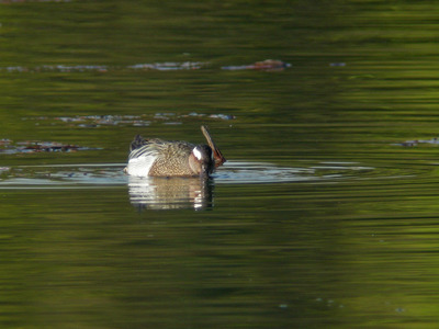 DSCN9406.jpg