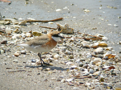DSCN9715.jpg