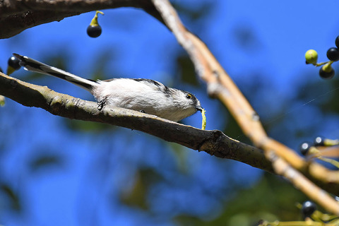 DSC_0004.jpg