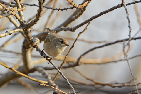 DSC_0047.jpg